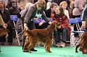 Crufts2011 004